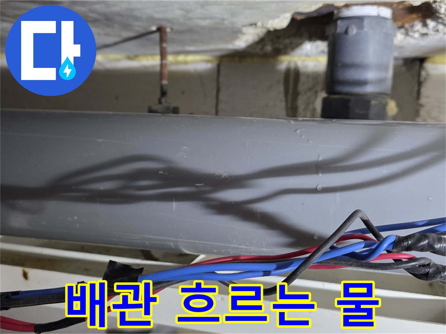 중계동 라이프청구신동아 누수 - 배관 타고 흐르는 물, 노원구 긴급 점검으로 해결!