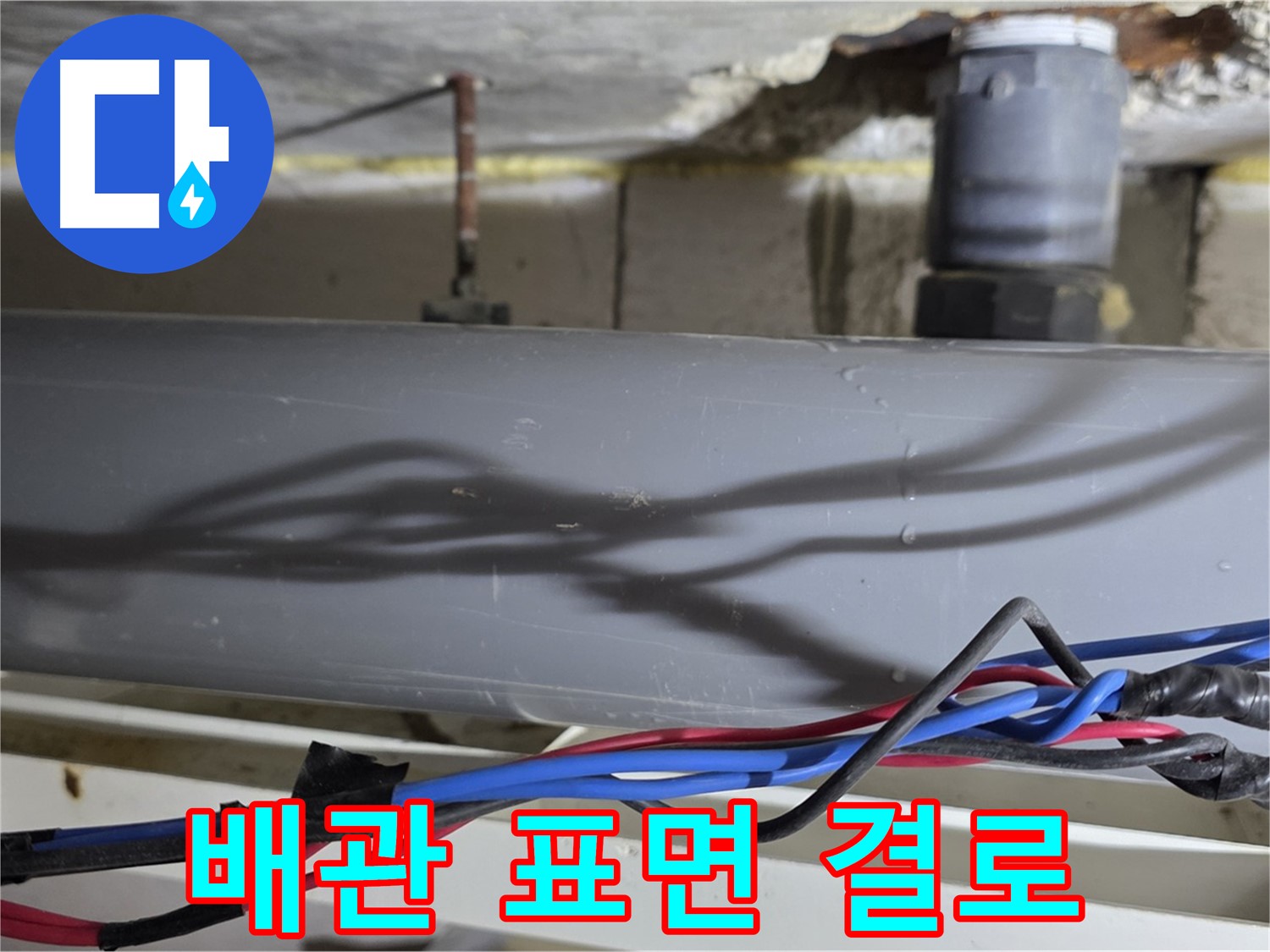 중계동 라이프청구신동아 아파트 배관 표면 결로 - 긴급 점검으로 누수와 구분