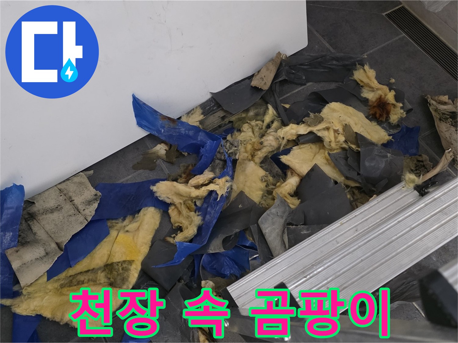 중계동 라이프청구신동아 아파트 - 천장 속 곰팡이 확인 - 건강 위협