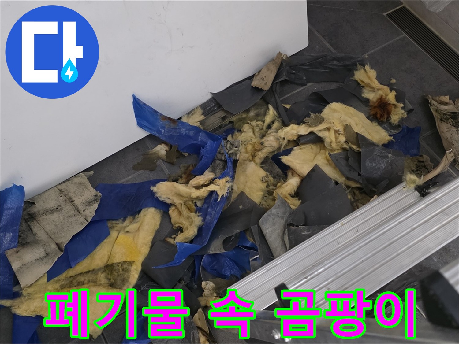 중계동 라이프청구신동아 아파트 - 폐기물 속 숨겨진 곰팡이 발견 - 건강 위협