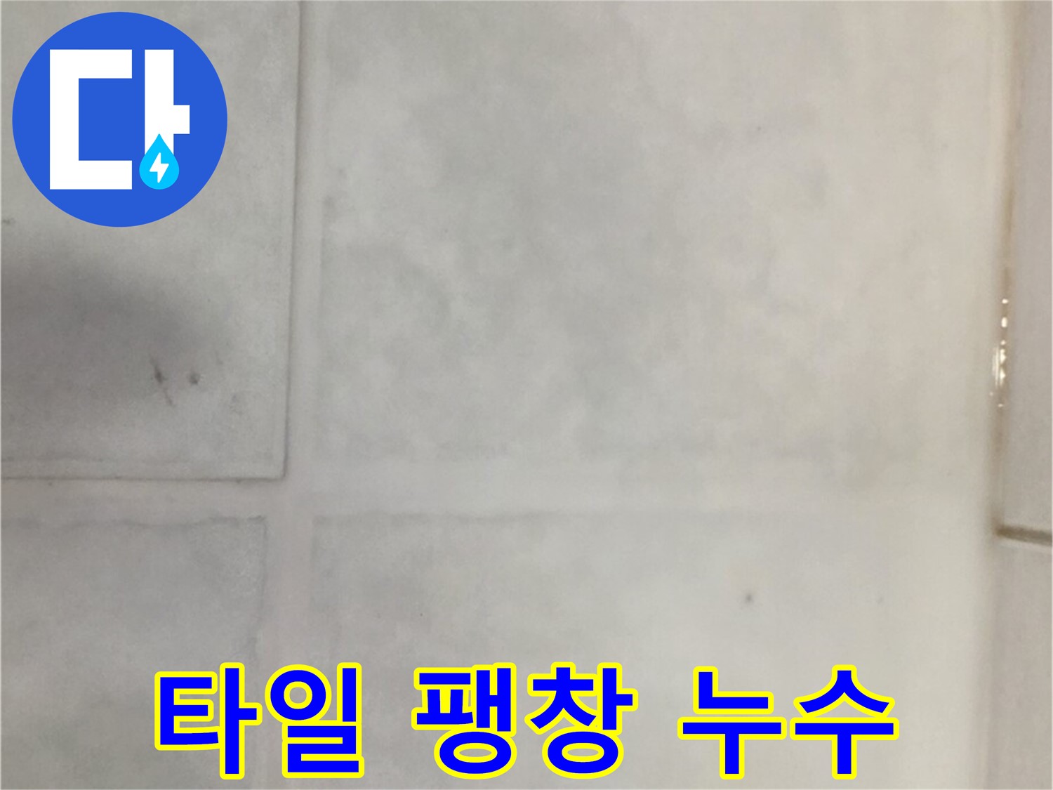 과천 누수 - 욕실 타일 팽창 누수, 타일 재시공 및 방수 처리