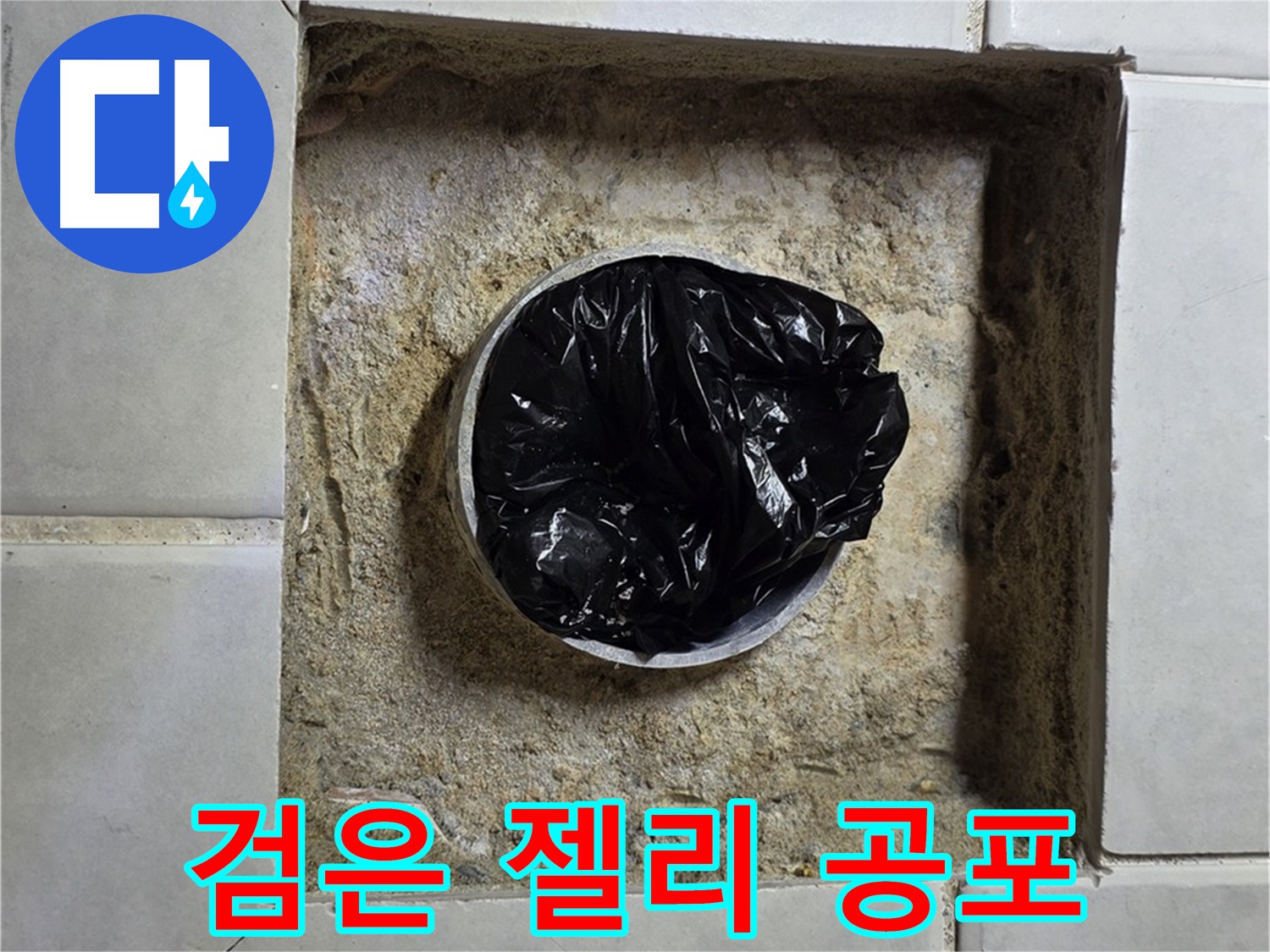 과천 누수 - 욕실 하수구 검은 젤리의 습격, 누수 공포 시작