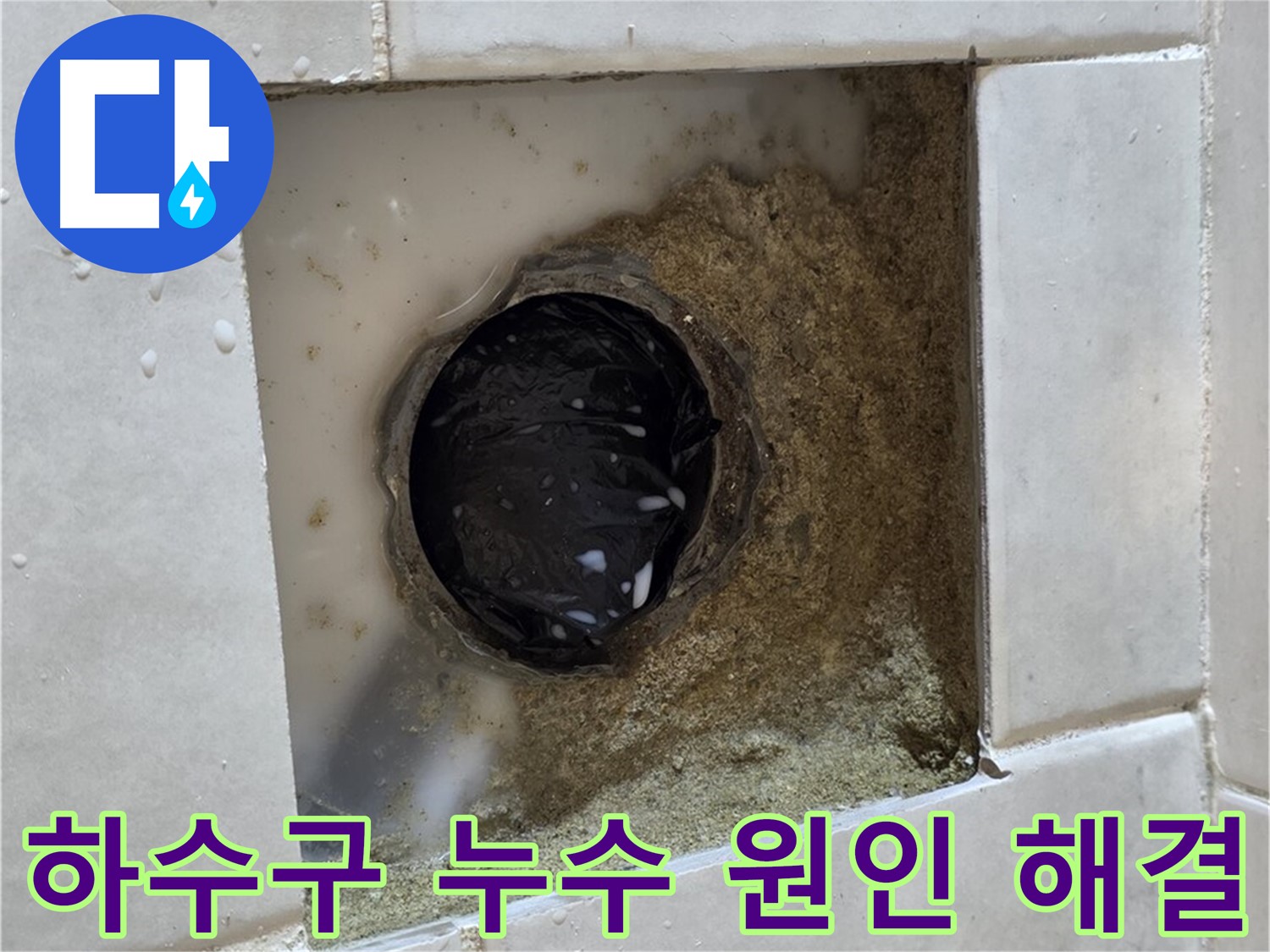 과천 문원동 욕실 하수구 누수 - 낡은 하수구와 주변의 습기, 정확한 원인 파악과 완벽한 해결