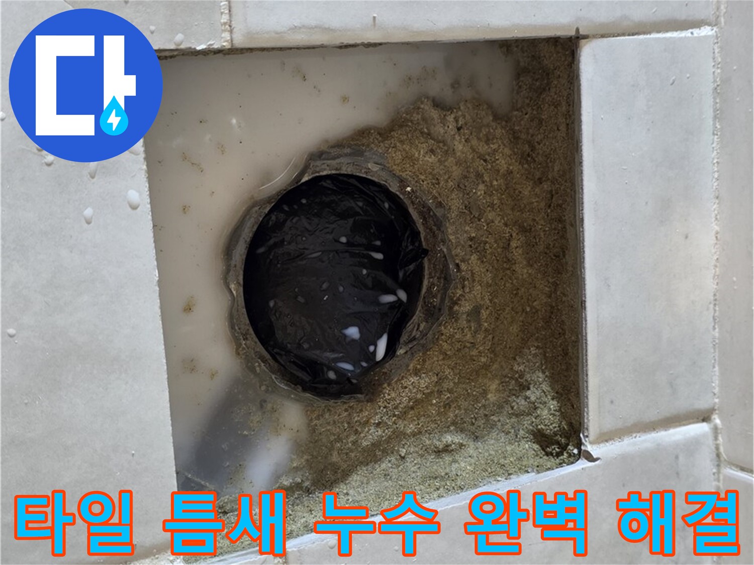 과천 문원동 욕실 하수구 주변 타일 틈새 누수 - 젖어있는 타일 틈새, 최고의 기술력으로 확실하게 해결