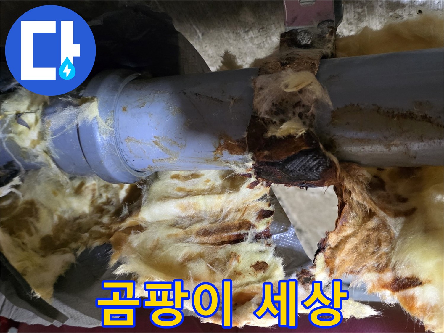 남양주 두산아파트 누수 - 배관 누수로 인해 젖은 단열재에 곰팡이가 번식하여 곰팡이 아포칼립스가 시작되었습니다.