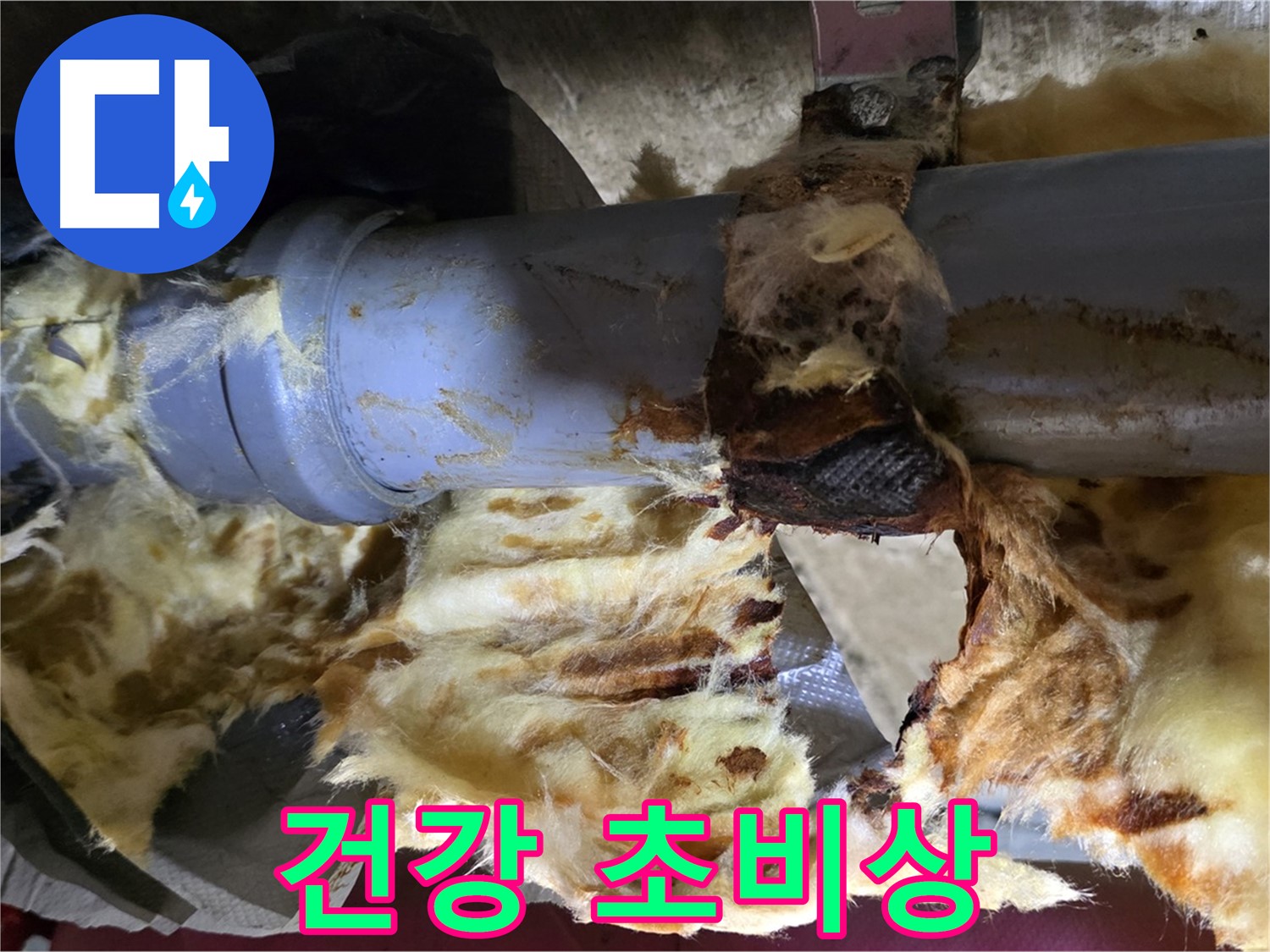 남양주 두산아파트 누수 - 배관 누수로 인해 젖은 단열재에 곰팡이가 슬어 곰팡이 포자가 확산되어 건강에 초비상이 걸렸습니다.