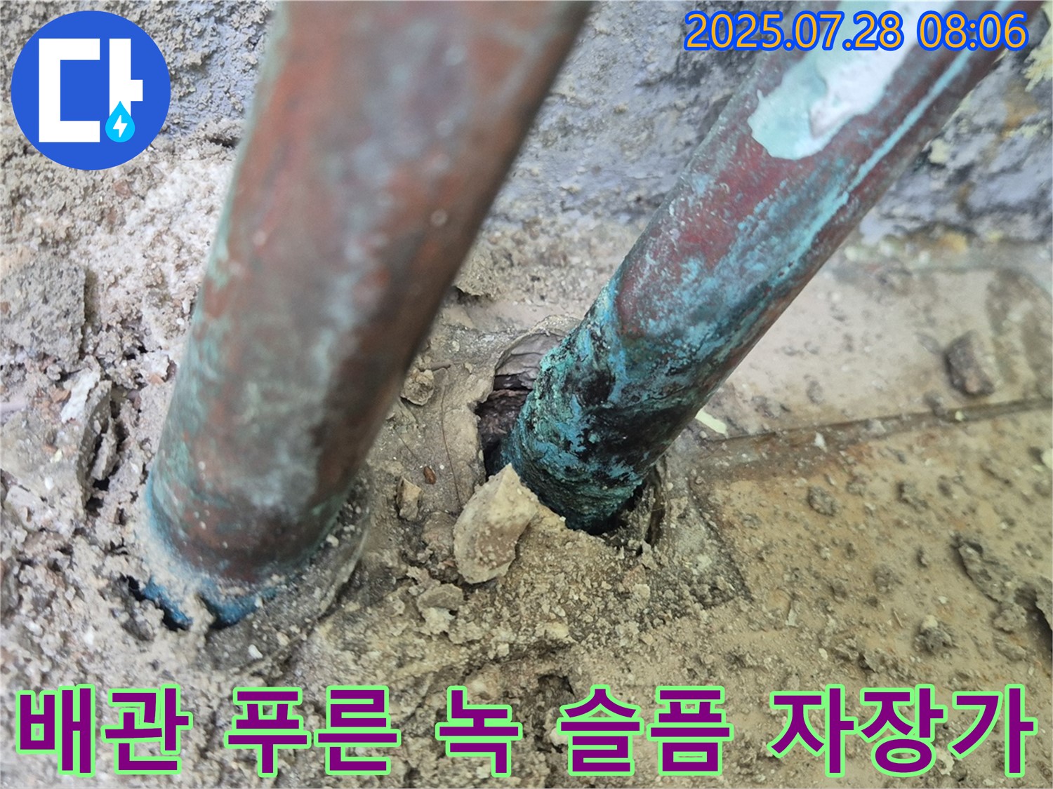 남양주 화도읍 두산아파트 누수 - 낡은 배관을 뒤덮은 푸른 녹은 깊은 슬픔과 멈춰진 시간 속 아파트의 멈춰버린 자장가를 상징하는 듯합니다.