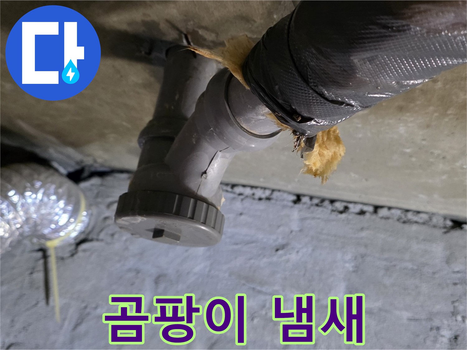 남양주 화도읍 두산아파트 다용도실 누수 - 곰팡이 냄새 발생