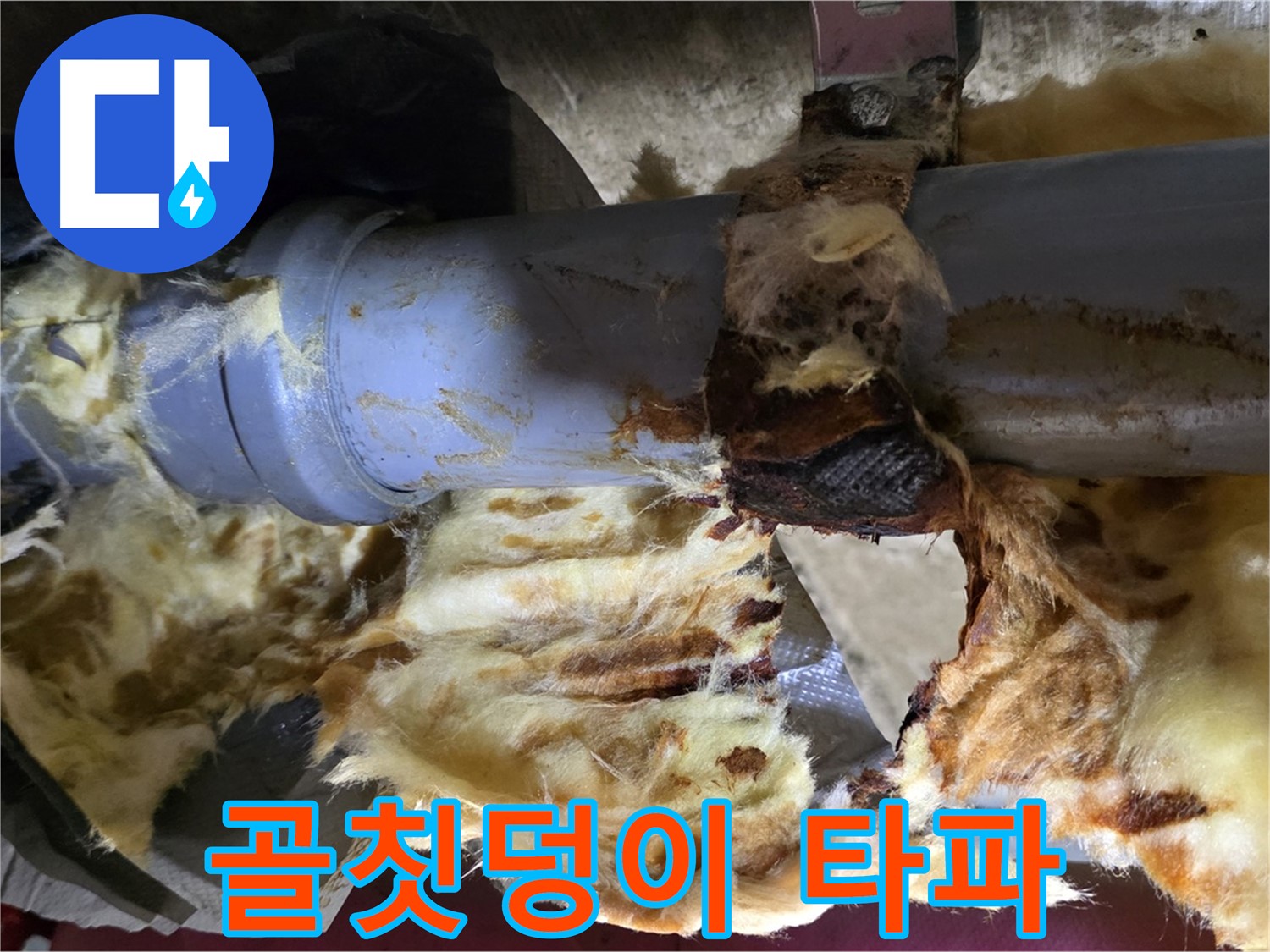 두산아파트 누수 - 낡은 배관, 곰팡이, 젖은 단열재 3가지 골칫덩이를 완전 타파했습니다.