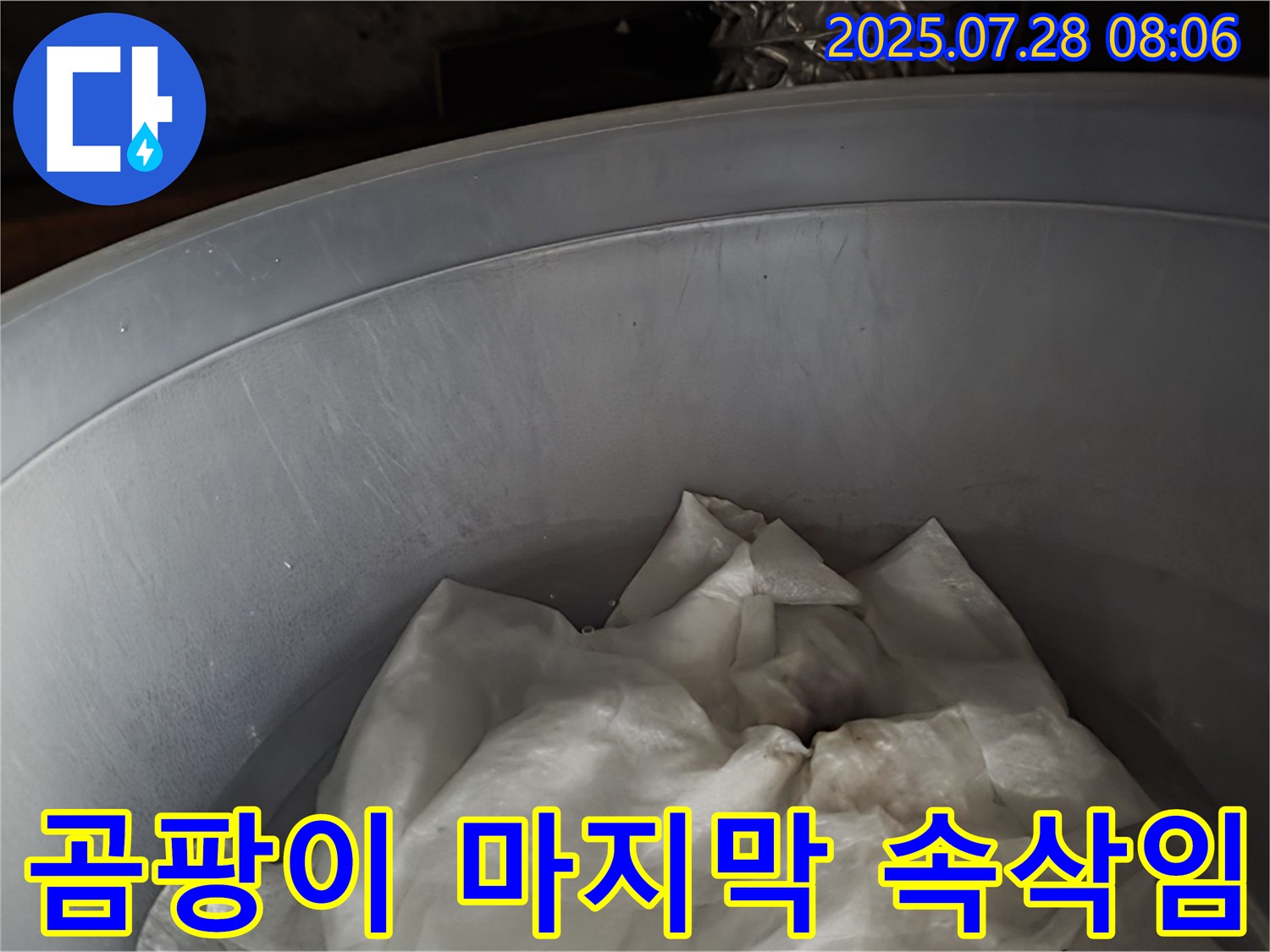 멈추지 않는 누수 - 양동이 속 젖은 휴지, 곰팡이 왕국 마지막 속삭임! 이제 전문가가 조용히 끝냅니다.