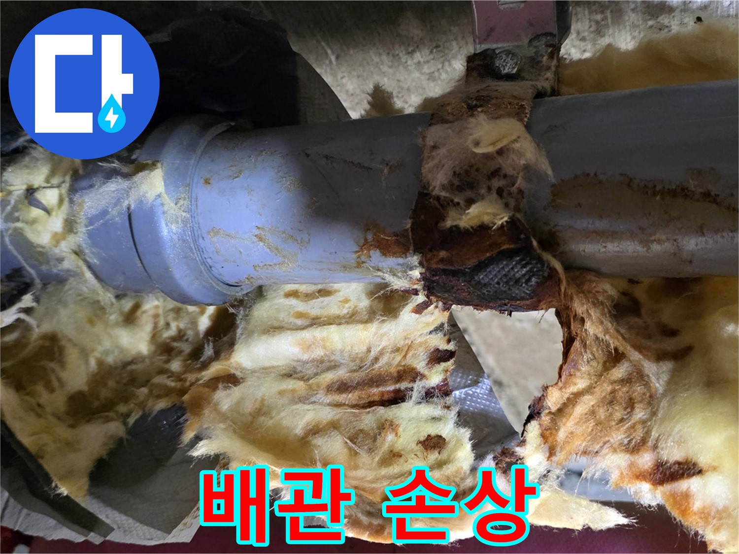 창현리 누수 - 배관 손상으로 인해 누수가 발생한 모습입니다.