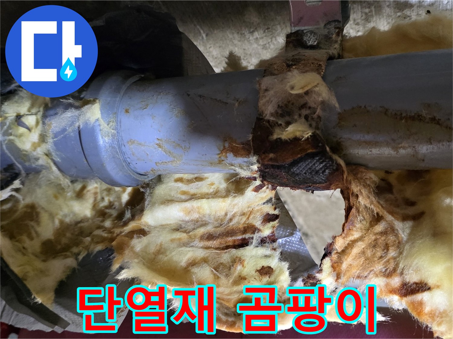 창현리 누수 - 젖은 단열재에 곰팡이가 슬어 포자가 확산될 우려가 있습니다.