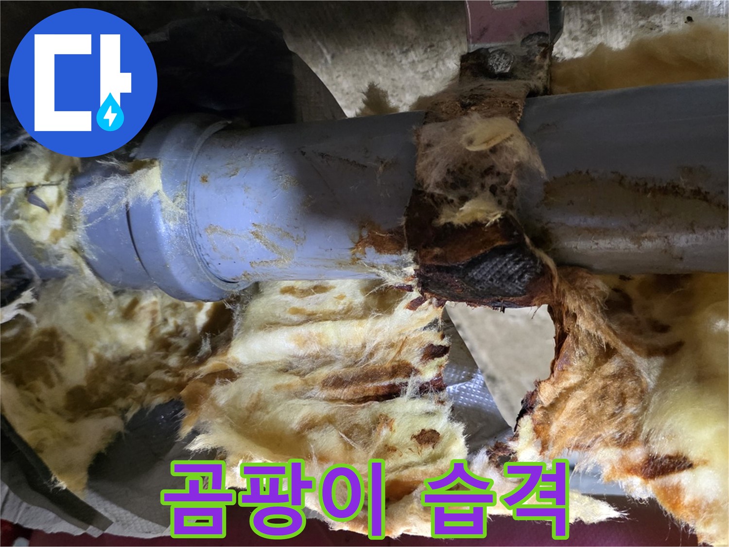 화도읍 두산아파트 누수 - 배관 연결 부위에서 누수가 발생하여 곰팡이가 습격하는 비상사태입니다.