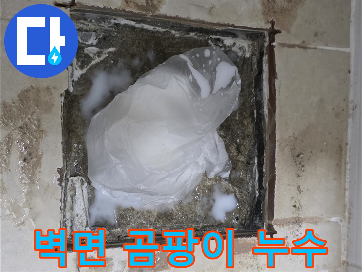 고양시 덕양구 동산동 욕실 옆 벽면 곰팡이 - 누수 의심 및 확인