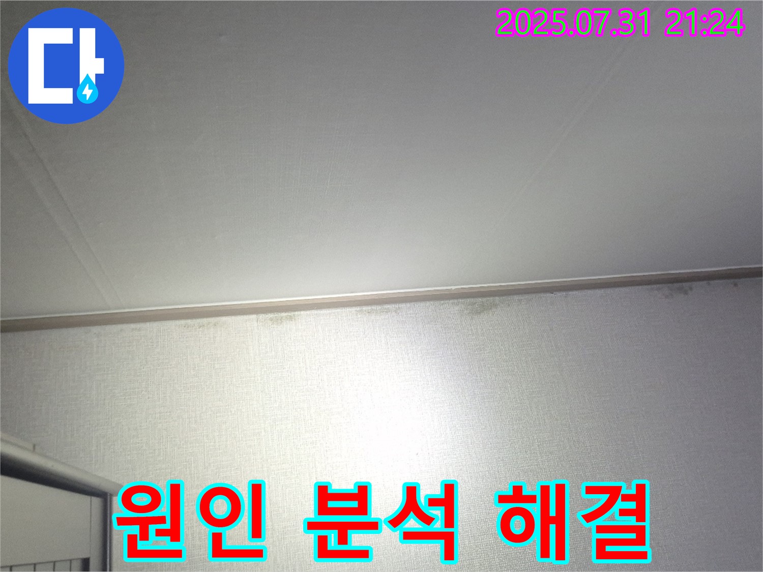 고양시 덕양구 벽 곰팡이 - 곰팡이 발생 원인 분석과 맞춤 솔루션 제공