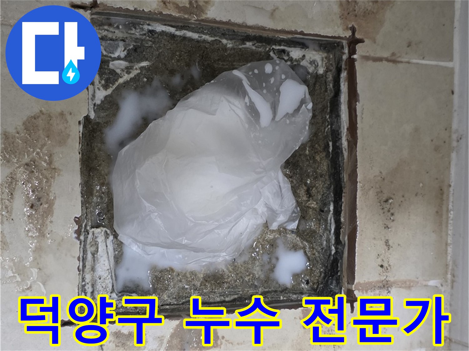 화장실 변기 유가 건물 전체 누수 해결 및 방수 공사 - 베테랑 전문가의 완벽 해결