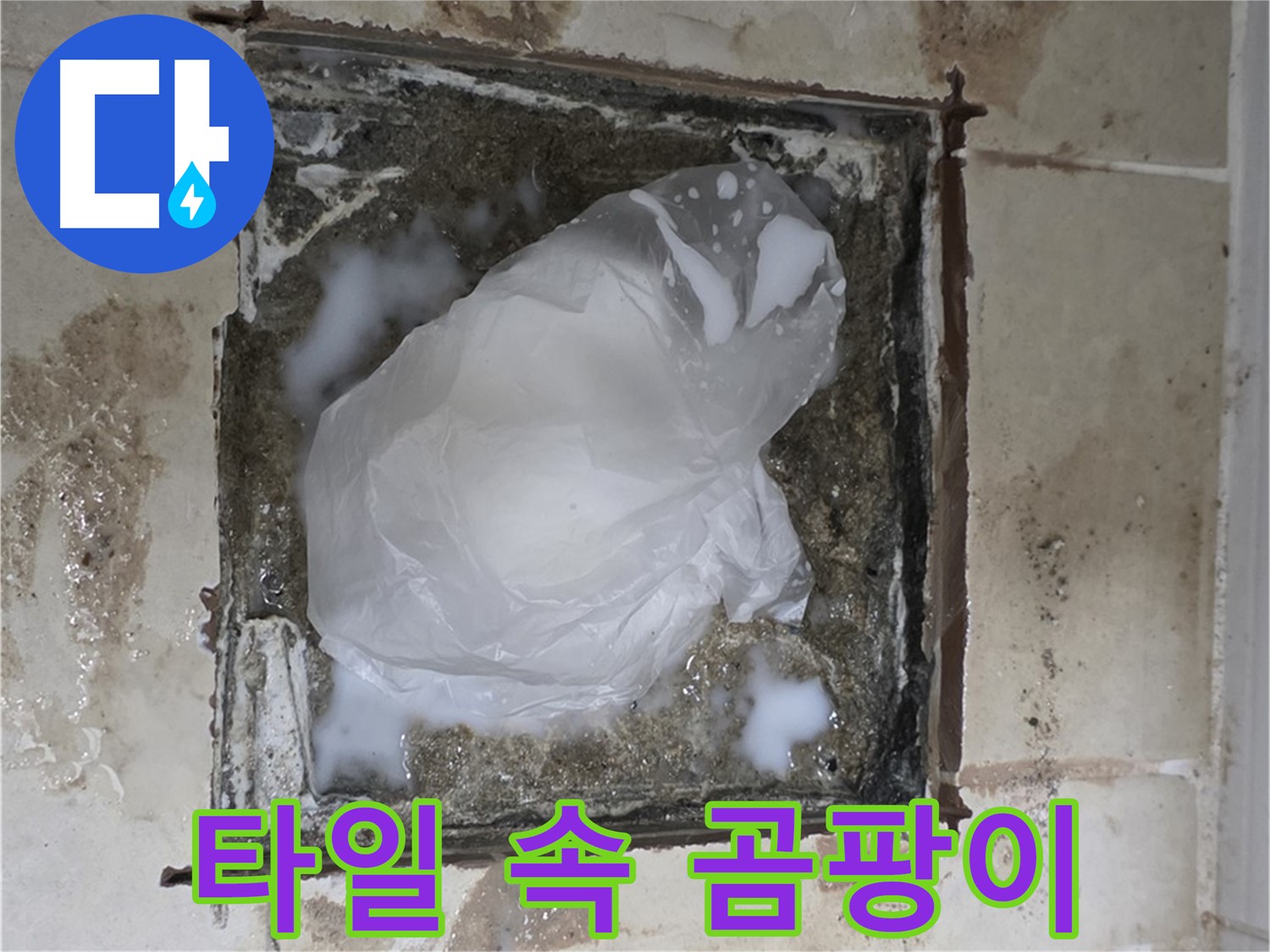 동산동 욕실 배수구 누수 - 타일 속에 숨겨진 물, 곰팡이의 따뜻한 보금자리
