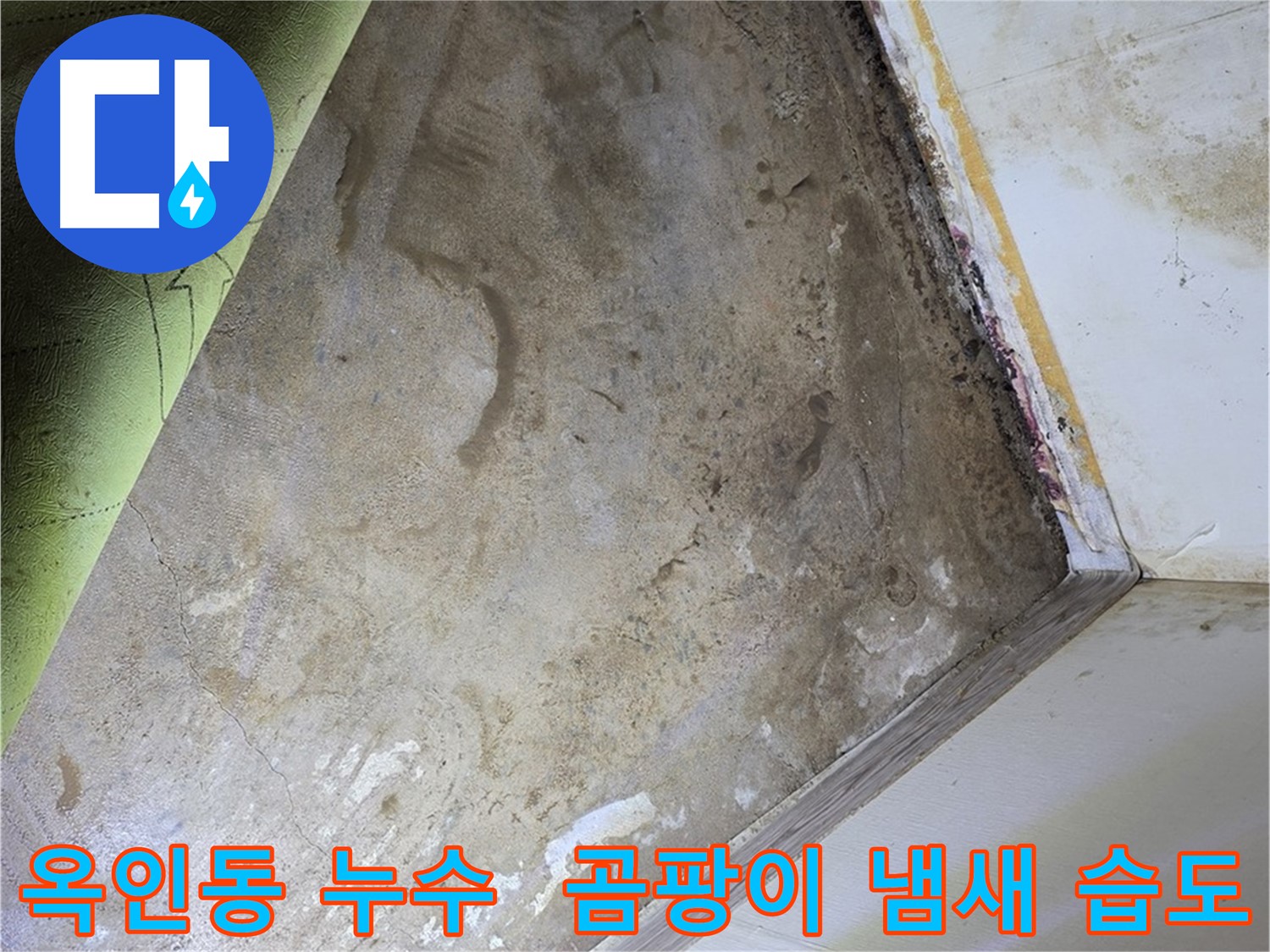 장판 밑 곰팡이 냄새 - 옥인동 냄새 원인 제거와 습도 관리