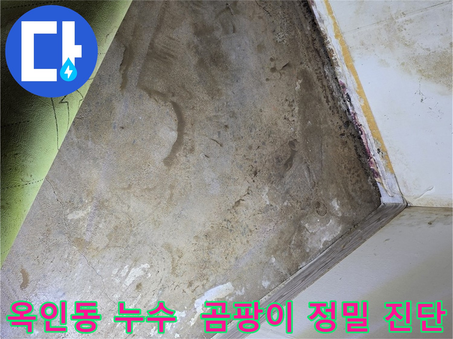 장판 밑 곰팡이 - 옥인동 곰팡이 발생 원인 정밀 진단