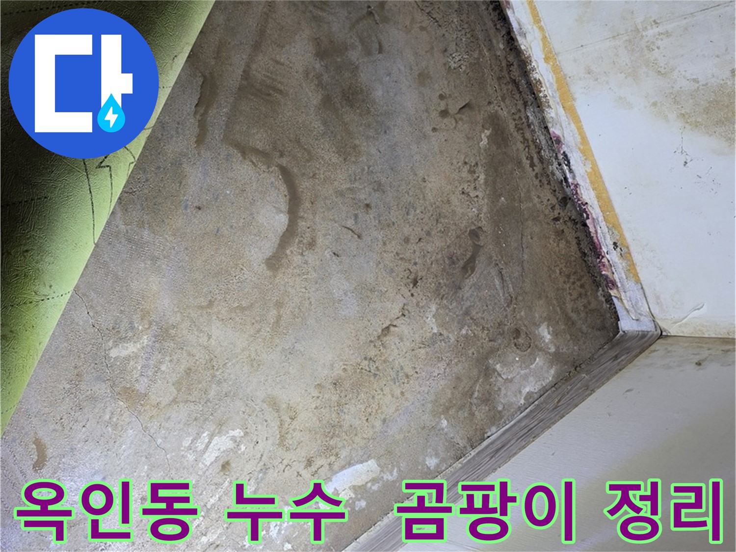 장판 밑 곰팡이 - 옥인동 제거 전 주변 정리