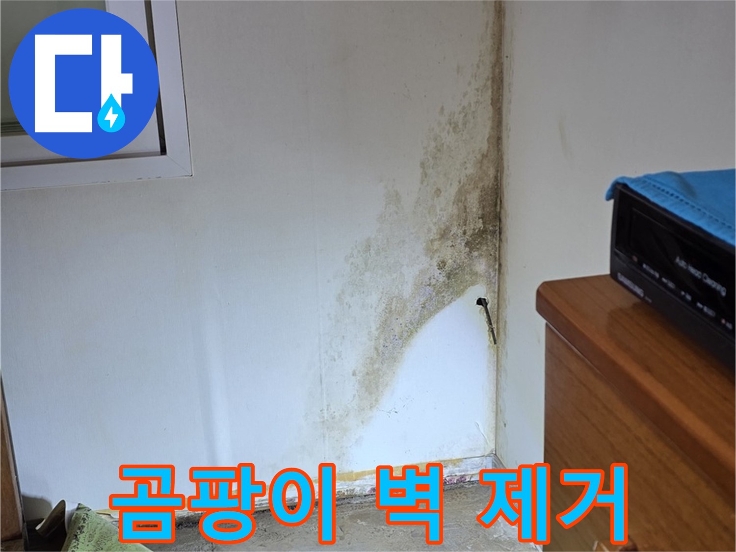 종로구 명륜동 곰팡이 벽 제거 - 전문 장비와 기술력으로 완벽하게 해결