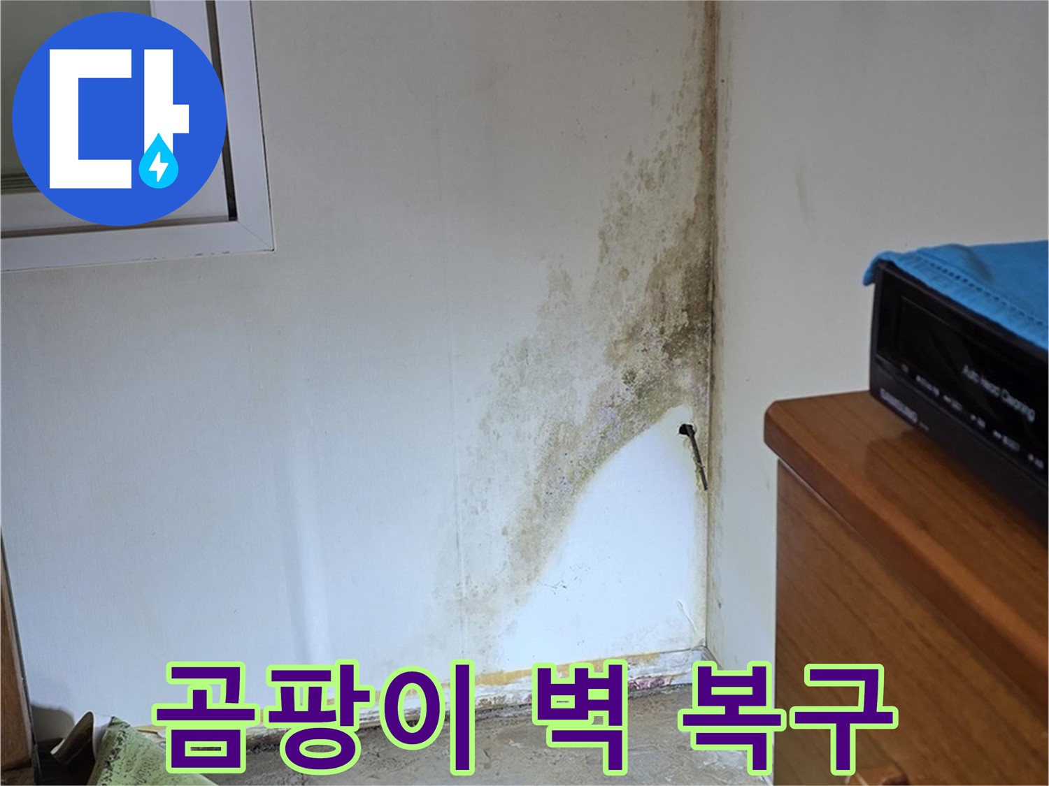 종로구 자하문로 곰팡이 벽 문제 해결 - 전문 장비를 사용한 정확한 누수 원인 파악 및 복구 작업