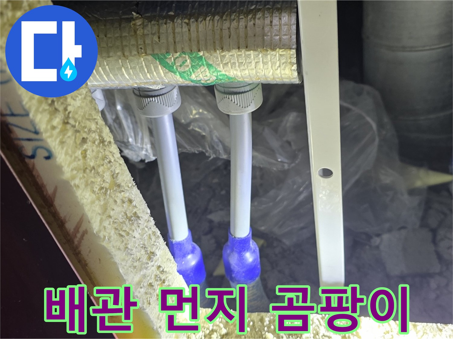 삼숭동 양주자이 누수 - 배관 연결 부속 주변 먼지 뭉침 및 곰팡이 검사