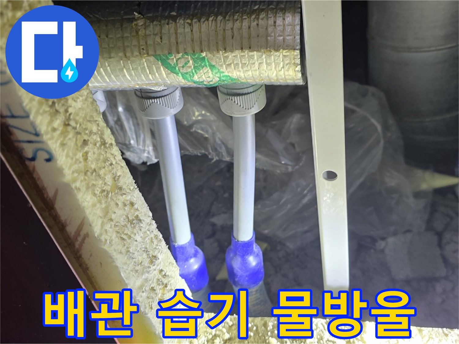 삼숭동 양주자이 아파트 누수 - 배관 연결 부속 주변 습기 및 물방울 맺힘 집중 조사