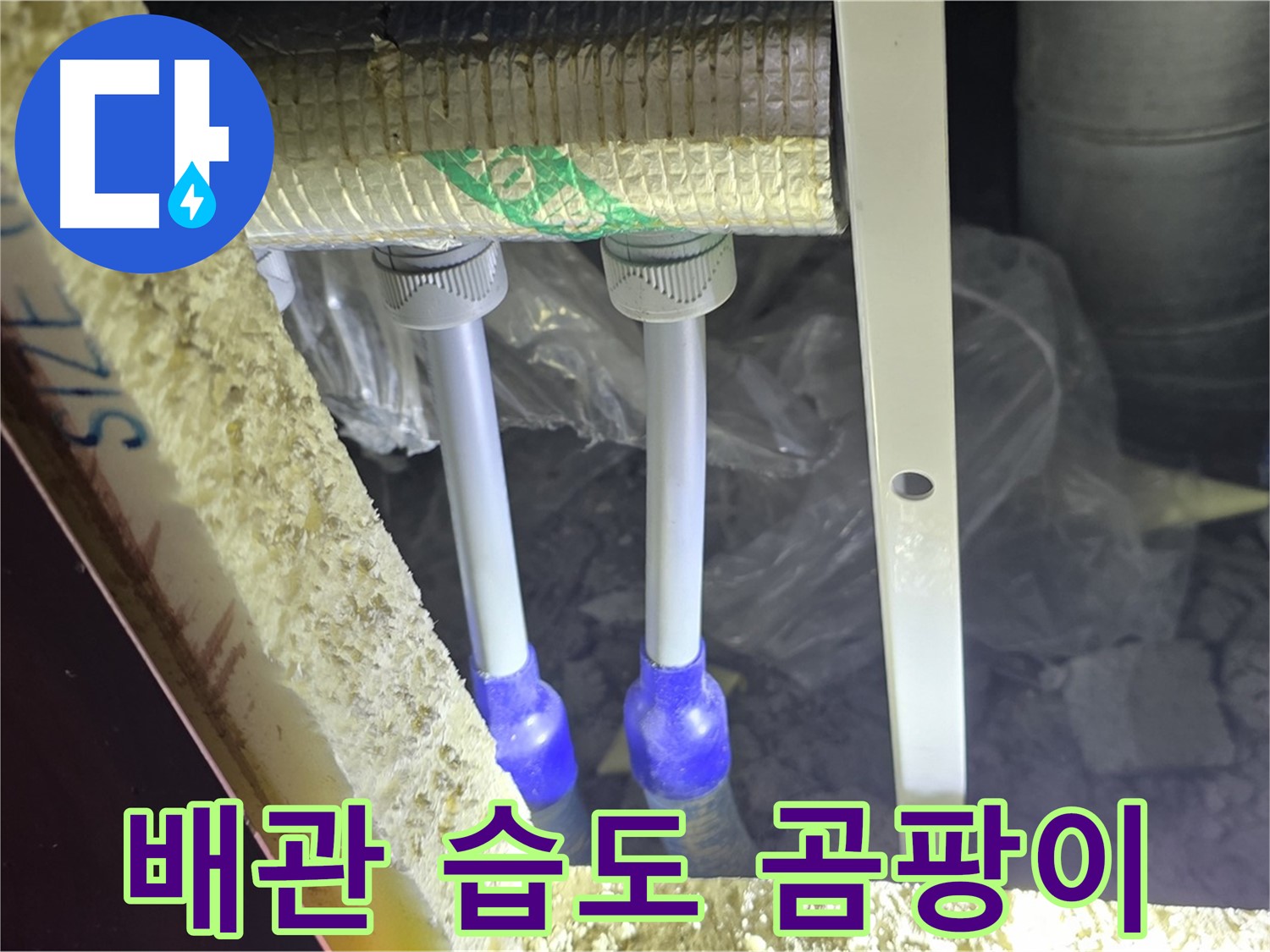 삼숭동 양주자이 아파트 누수 - 배관 연결 부속 주변 습도 변화 및 곰팡이 발생 초기 단계 확인
