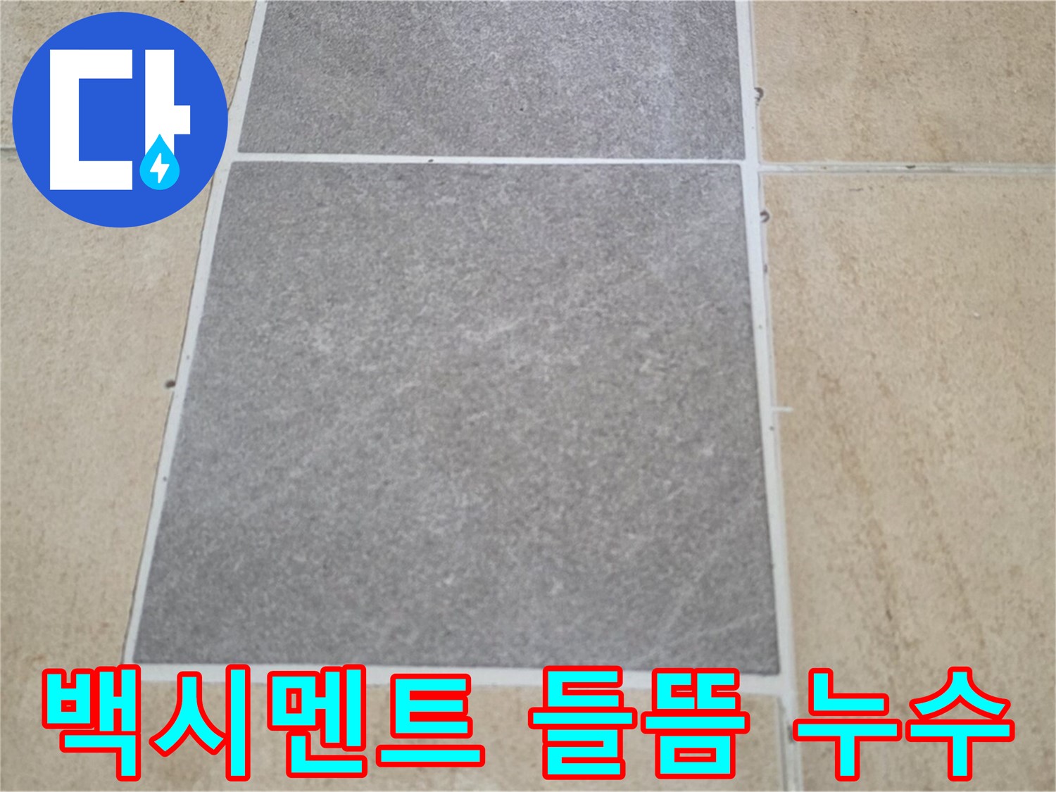 양주 삼숭동 아파트 - 타일 틈새 백시멘트 들뜸 현상과 누수의 연관성을 확인하고 있습니다.
