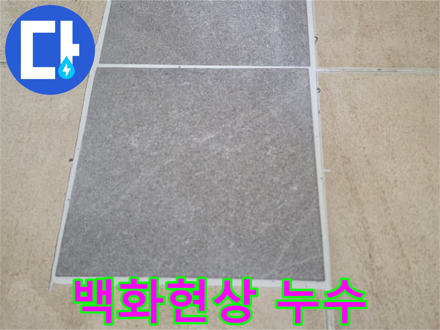 양주 삼숭동 아파트 - 타일 틈새 백화현상과 누수의 연관성을 조사하고 있습니다.
