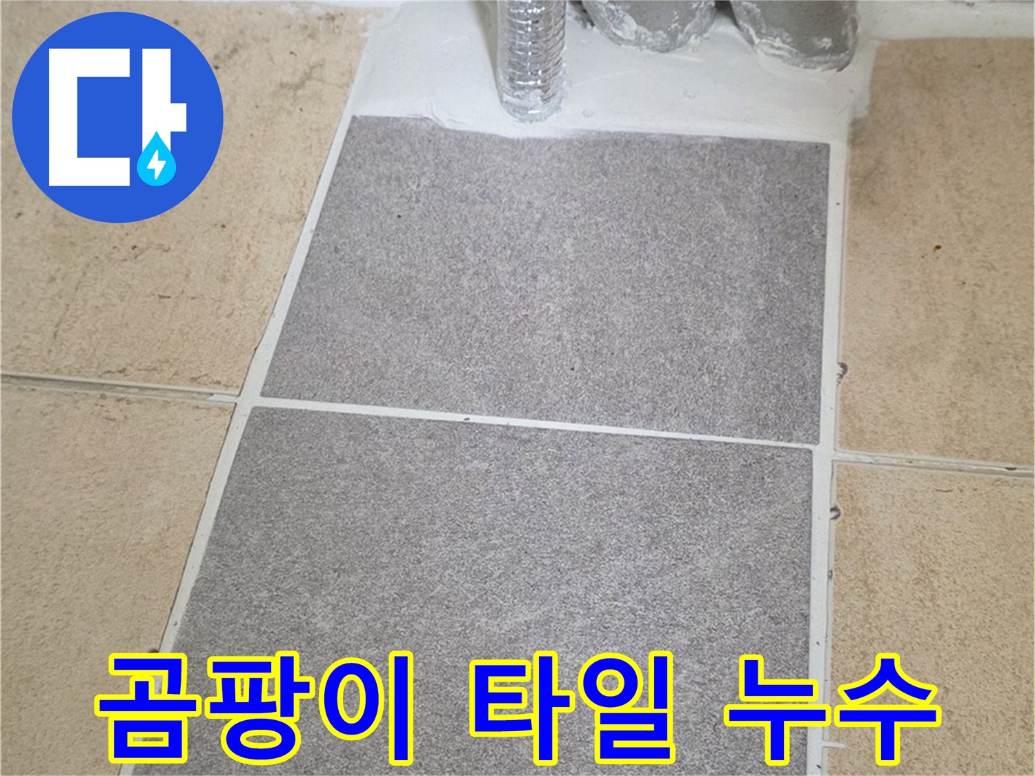 양주 삼숭동 자이아파트 곰팡이 핀 욕실 타일 줄눈 - 누수 의심 점검