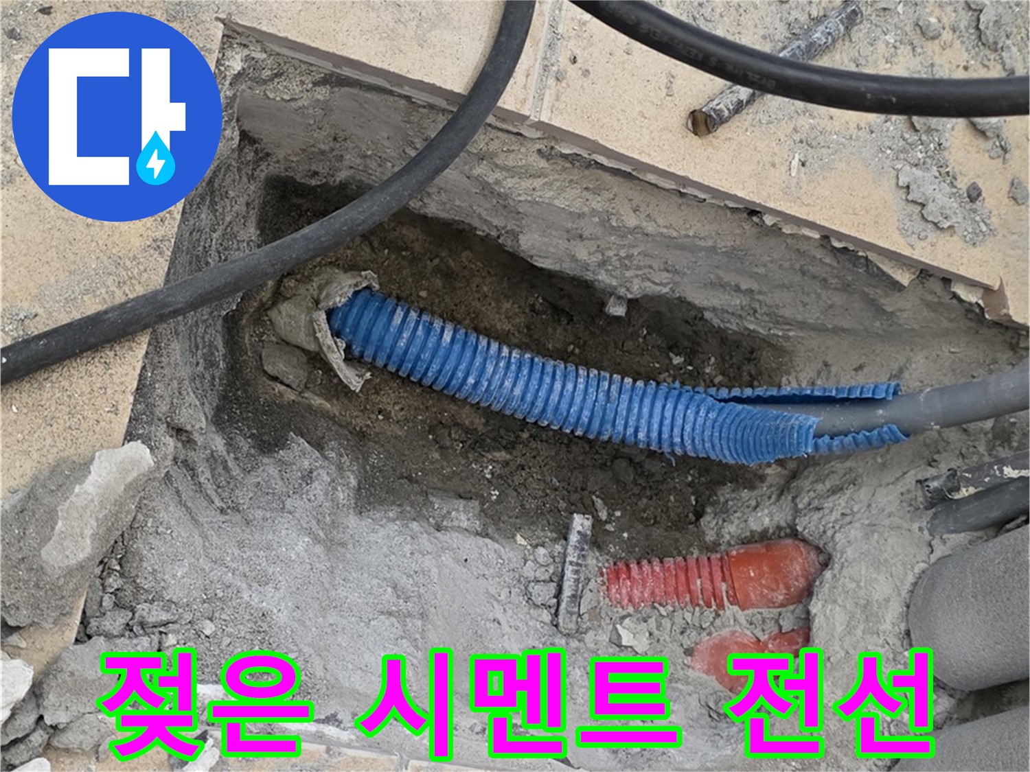 양주 삼숭동 자이아파트 누수 - 젖은 시멘트 바닥과 꼬불거리는 전선관