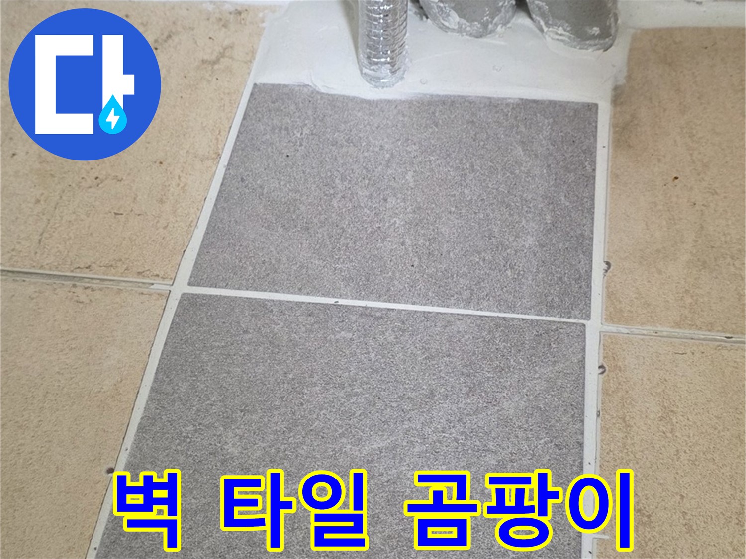 양주 삼숭동 자이아파트 욕실 벽 타일 부분 교체 - 곰팡이 누수 해결