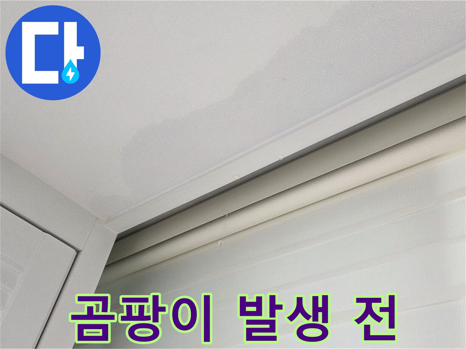 양주 삼숭동 자이아파트 천장 누수 - 곰팡이 발생 전 누수 조치