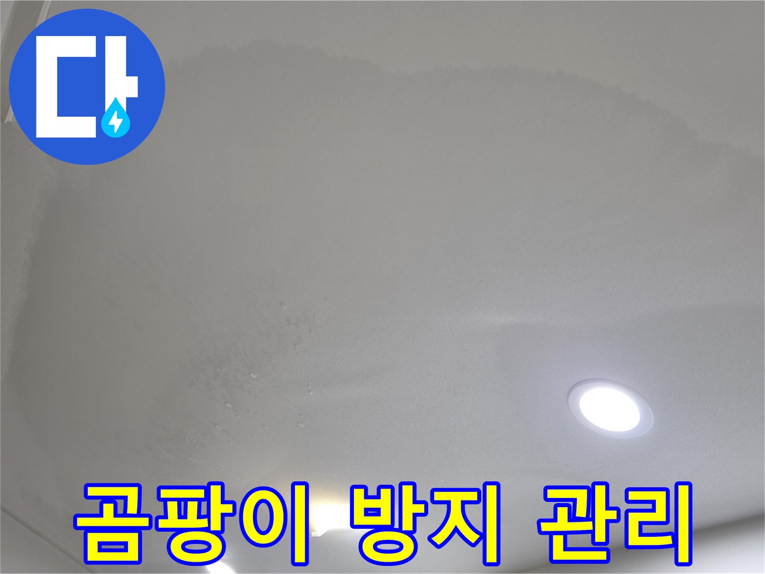 양주 천장 누수 시공 - 습기, 곰팡이 방지