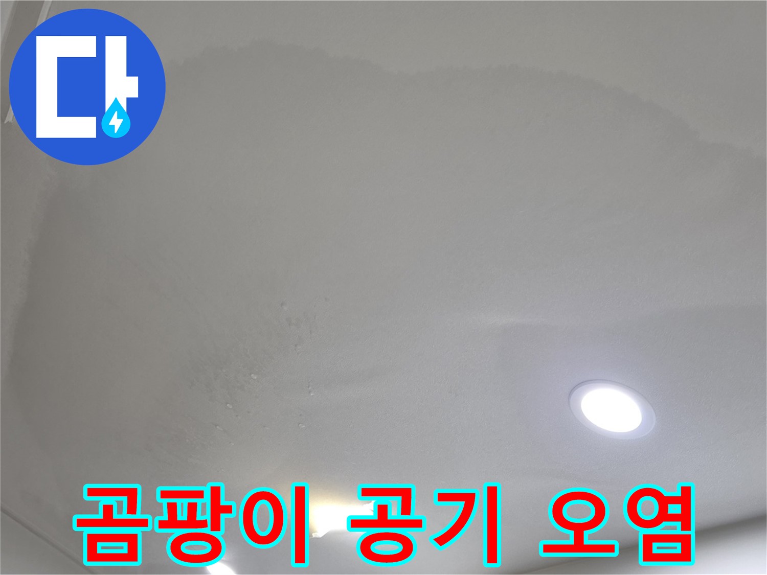 양주시 삼숭동 누수 - 둥근 천장 얼룩 - 곰팡이