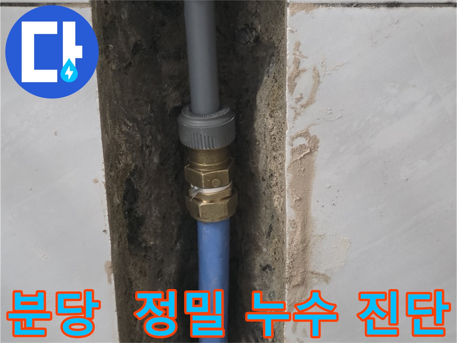 분당 쇳골 - 완벽한 장비로 누수 정확하게 진단 및 해결
