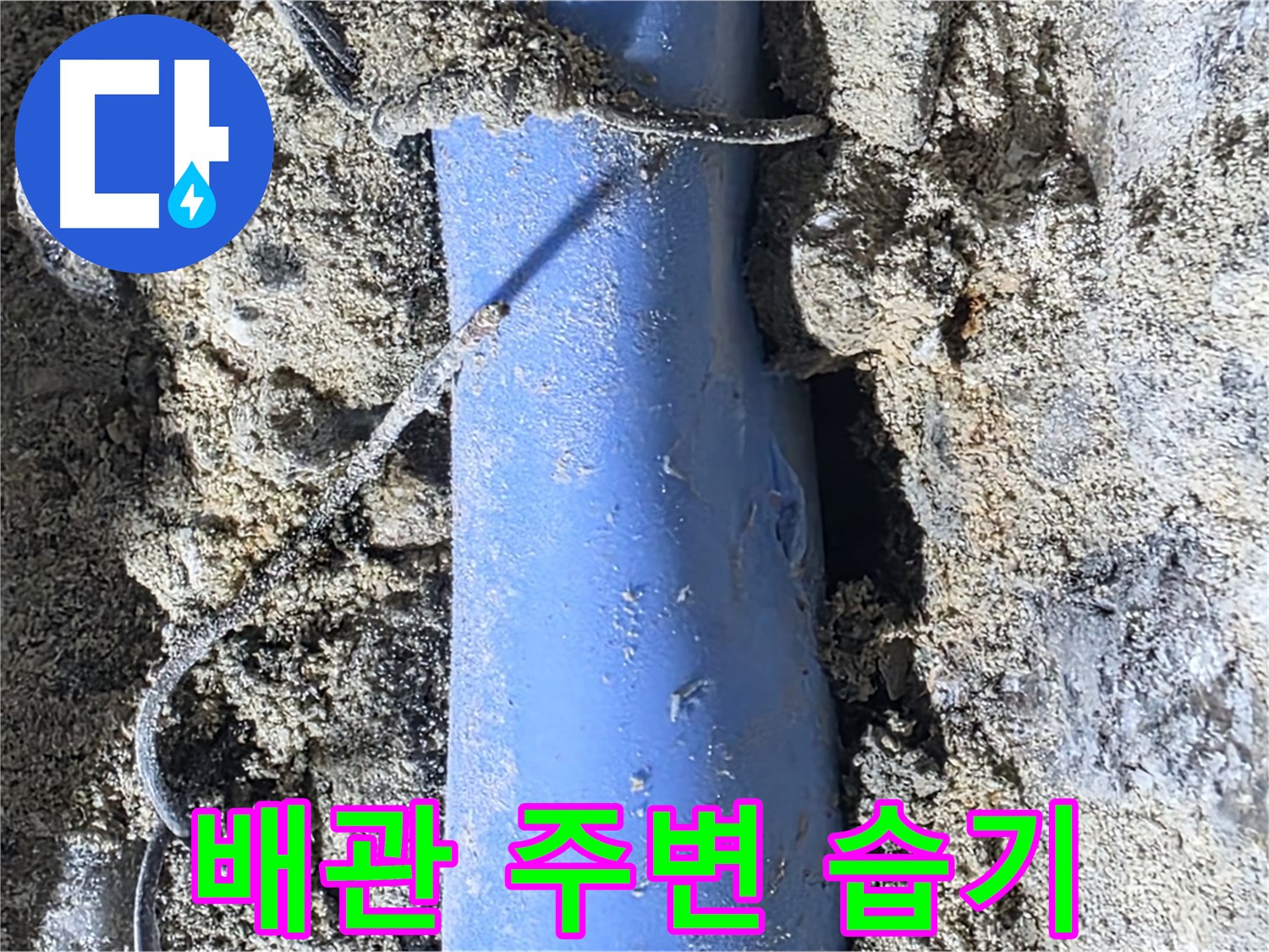 분당 쇳골로 누수 - 배관 주변에 습기가 차 있는 모습 - 누수의 확실한 증거입니다.