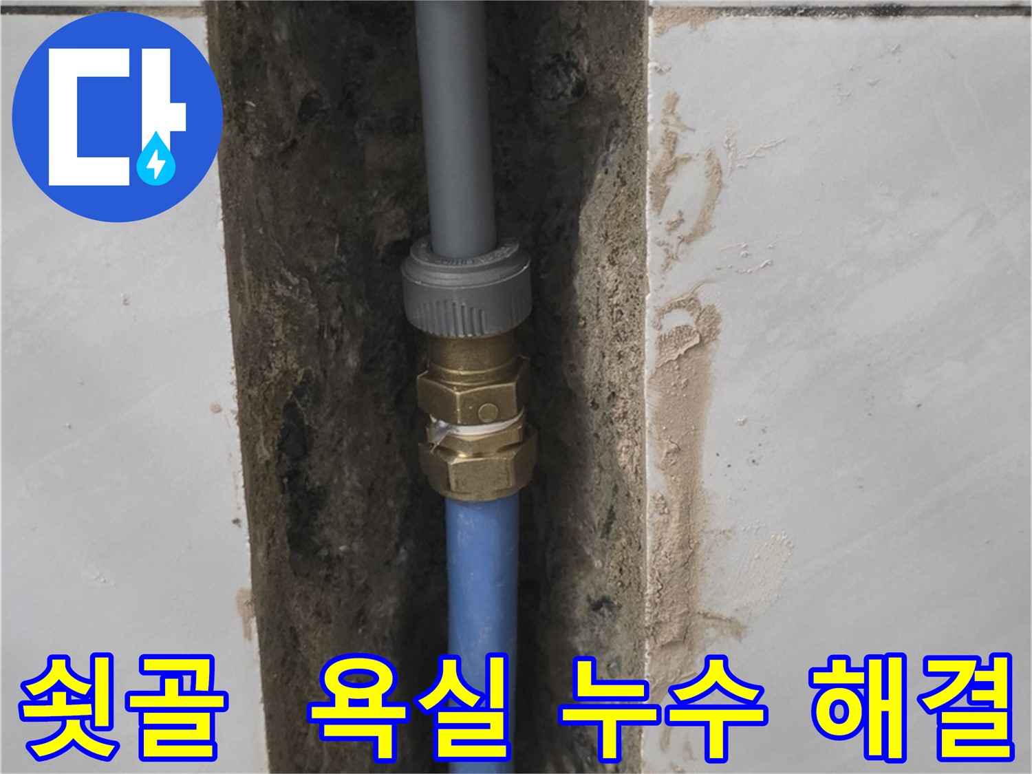 성남 분당 쇳골 - 욕실 누수, 이제 안심하고 사용하세요!