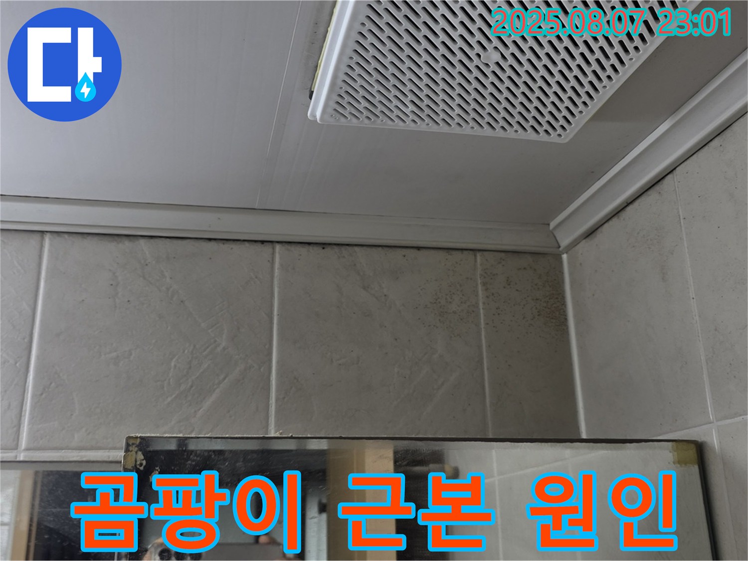욕실 천장 곰팡이-누수 원인 파악 및 제거-쾌적한 환경 조성