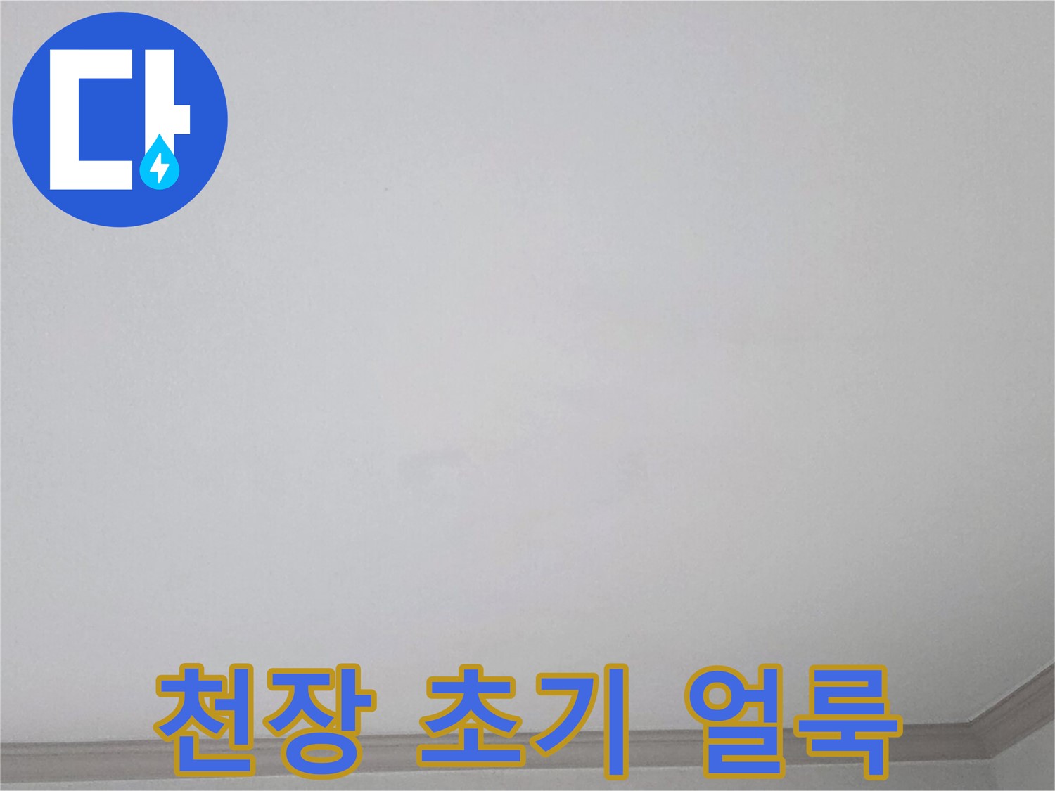 인천 남동구 논현동 논현주공1단지 아파트 천장 - 초기 누수 얼룩 정밀 진단