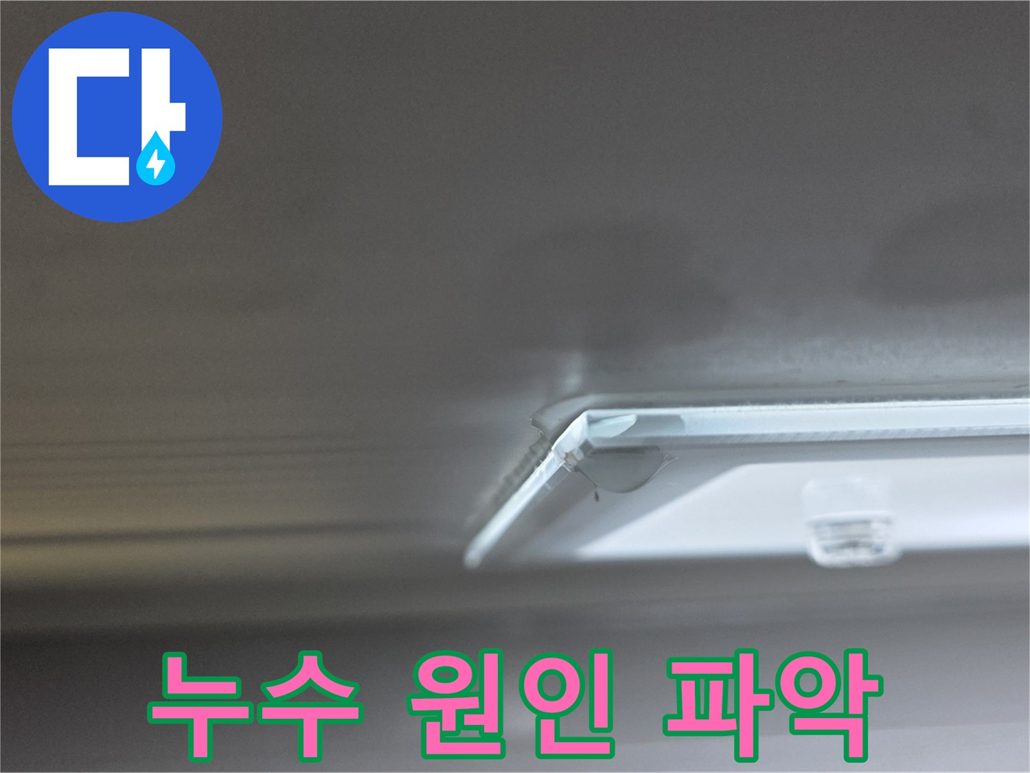 옥정동 13단지 율정마을 아파트 천장 누수 - 초기 누수 발견 후 원인 파악에 집중하고 있습니다.
