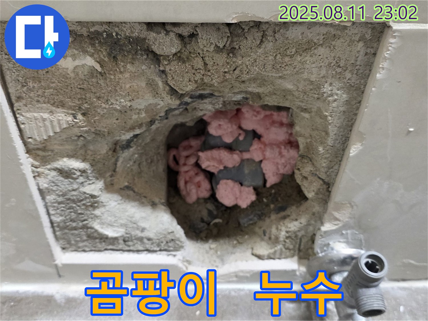 성북구 하월곡동 래미안월곡아파트 123동 누수 - 곰팡이와 함께 누수의 진실을 파헤칩니다.