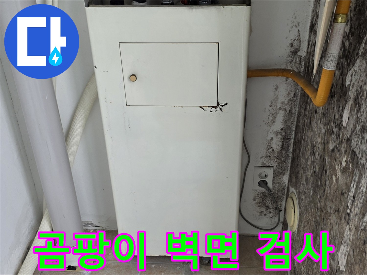 길음1동 숭인로 - 곰팡이 핀 벽면 누수 탐색 - 누수 전문가의 첨단 장비 활용
