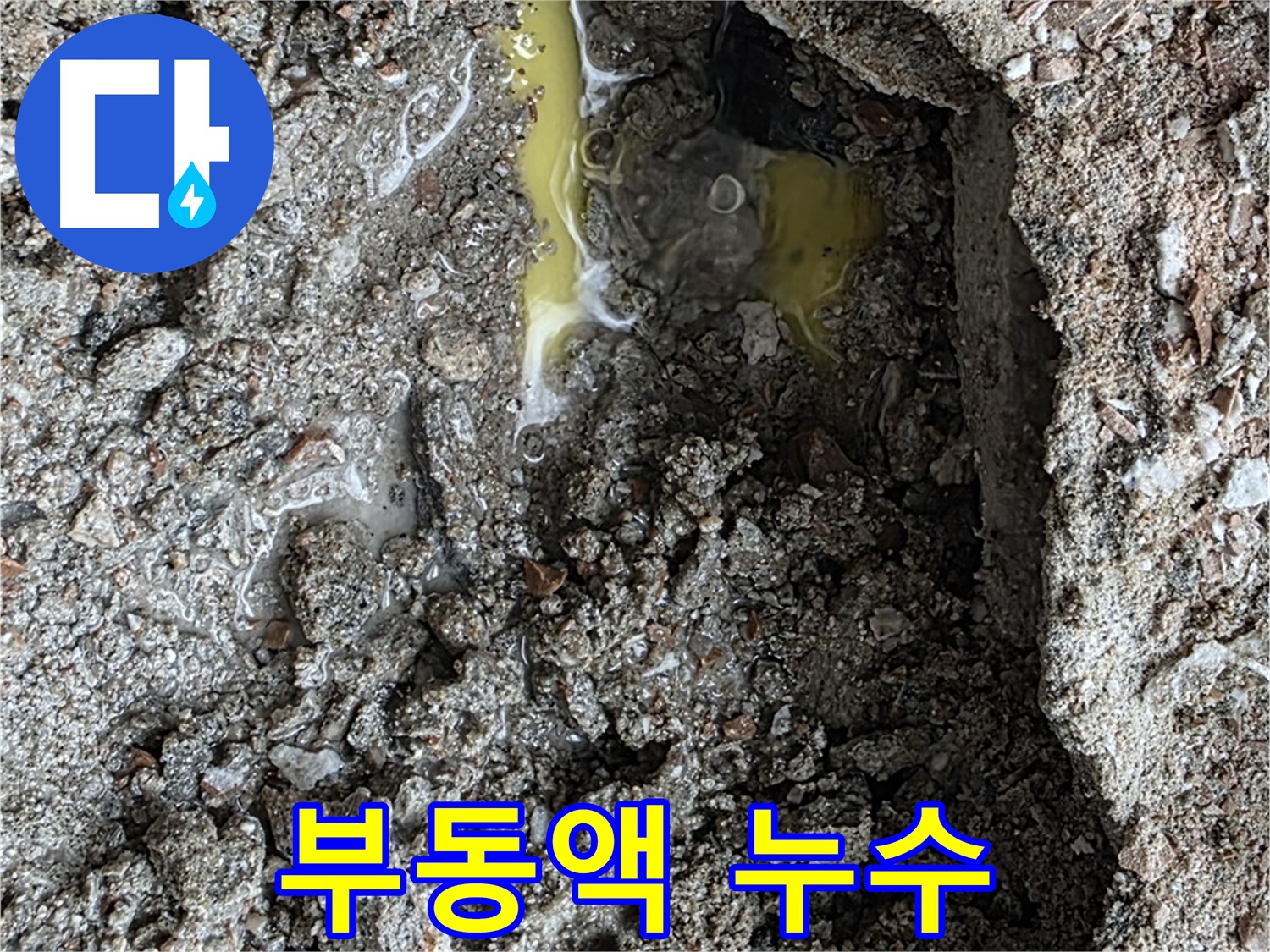길음2동 숭인로 누수 - 땅속에서 발견된 노란 액체, 혹시 부동액 누수일까요?