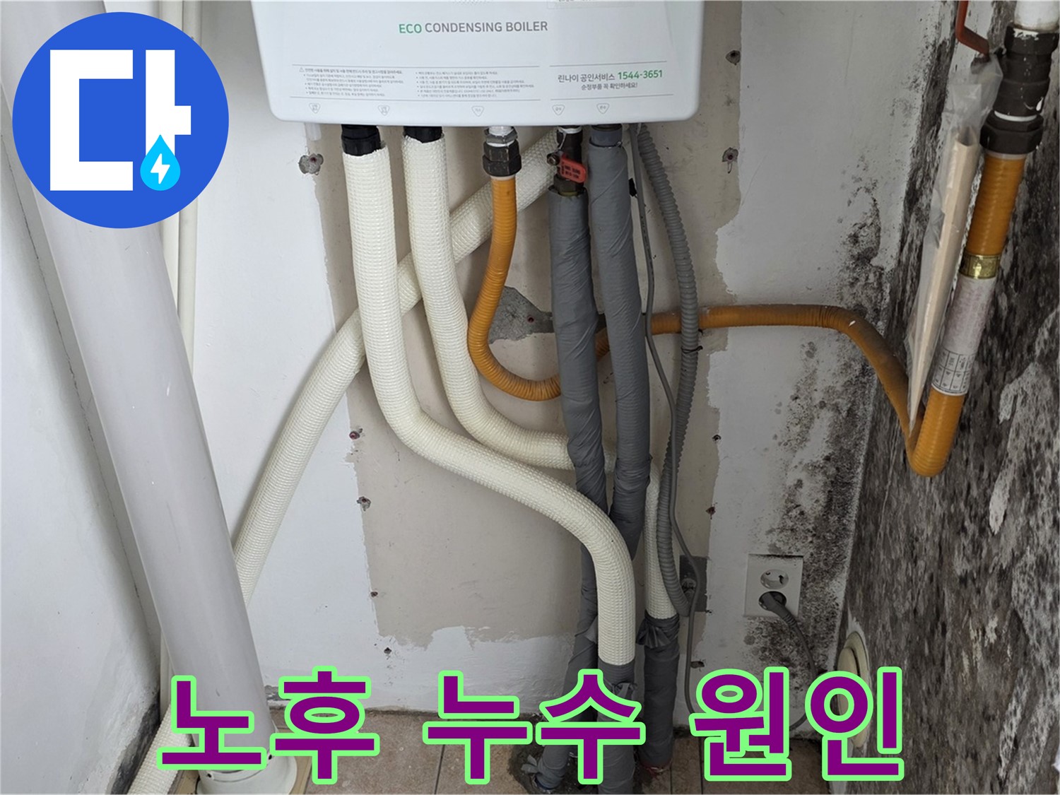 길음동 아파트 누수 - 곰팡이 심한 벽, 보일러 배관 연결부 노후로 인한 누수 발생