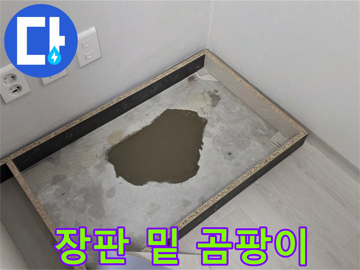 성북구 길음1동 누수 - 장판 밑 곰팡이 심각, 누수 원인 철저 분석