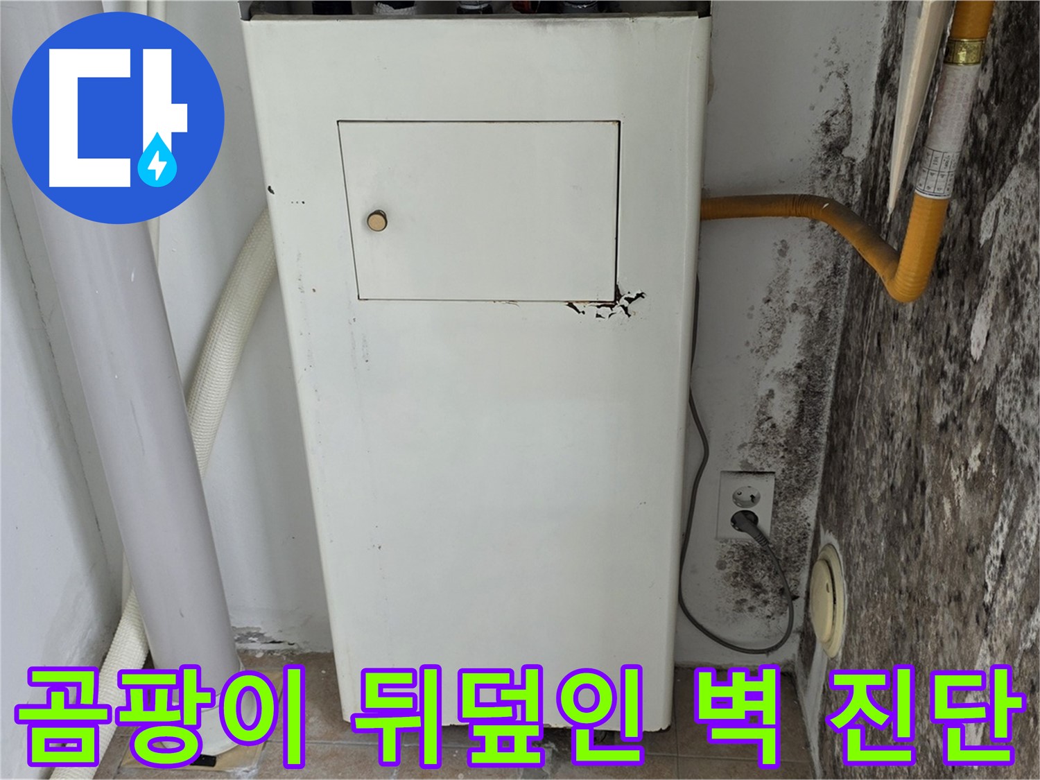 성북구 길음1동 숭인로 - 곰팡이 뒤덮인 벽 긴급 점검 - 누수 전문가의 신속한 진단