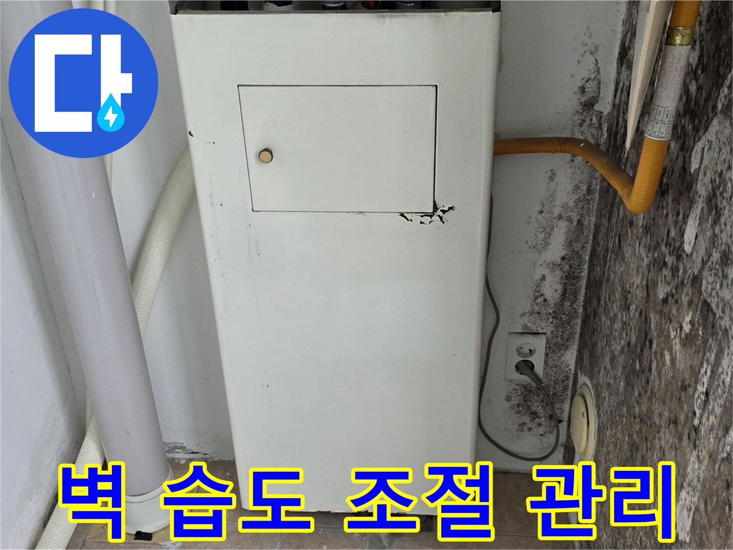 성북구 길음1동 숭인로 - 곰팡이 핀 벽 결로 방지 및 습도 조절 관리를 위한 전문가 방문